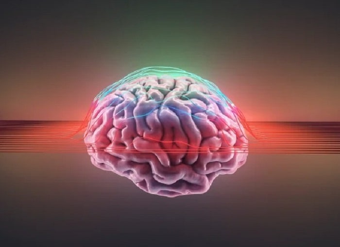عجیب ترین کشف سال در مورد مغز