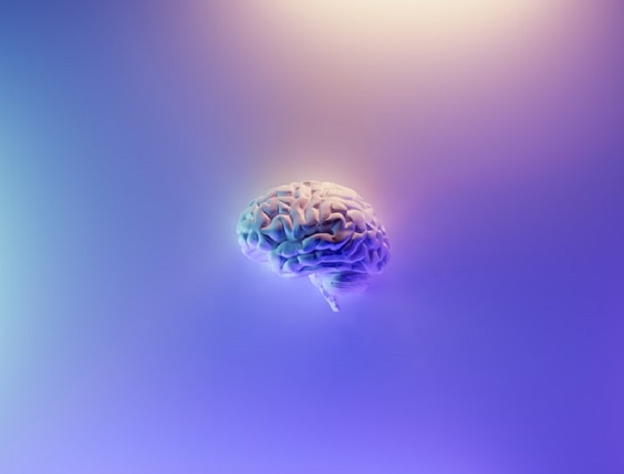 شناسایی یک نوع جدید سلول‌های عصبی در مغز انسان